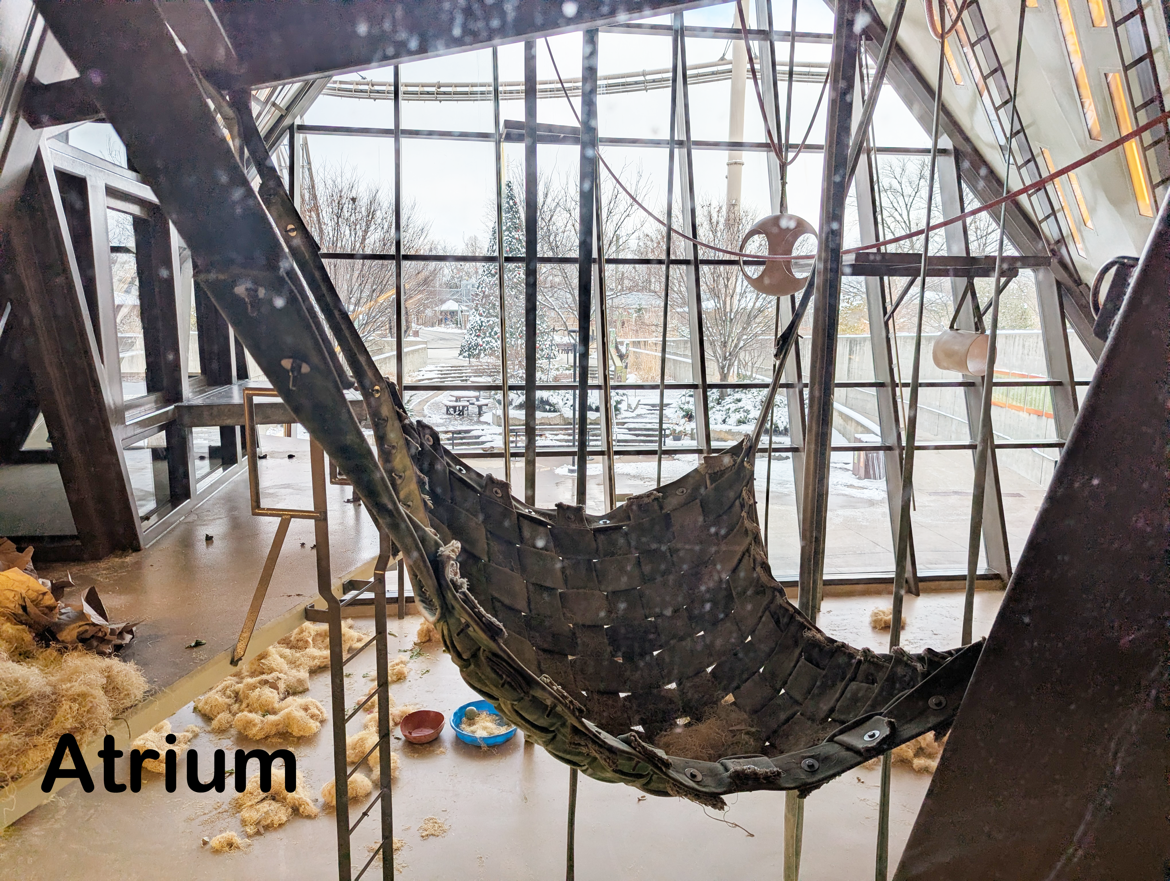 Orangutan indoor space.