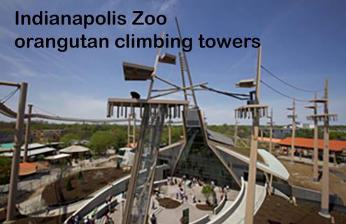 Indy Zoo Orangutan climbing structure.