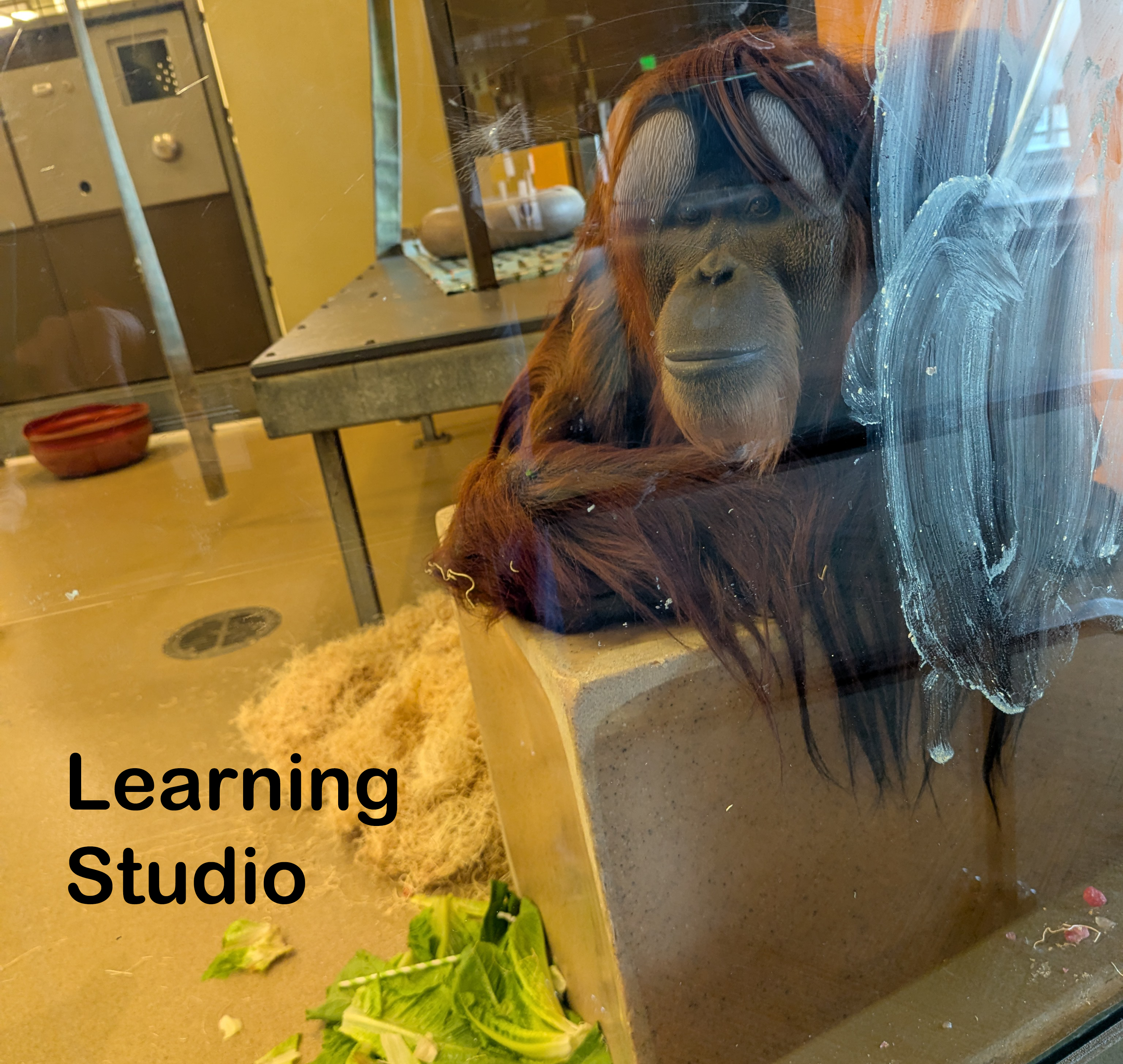 Learning Studio space.