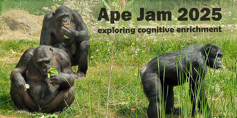 apejam_title