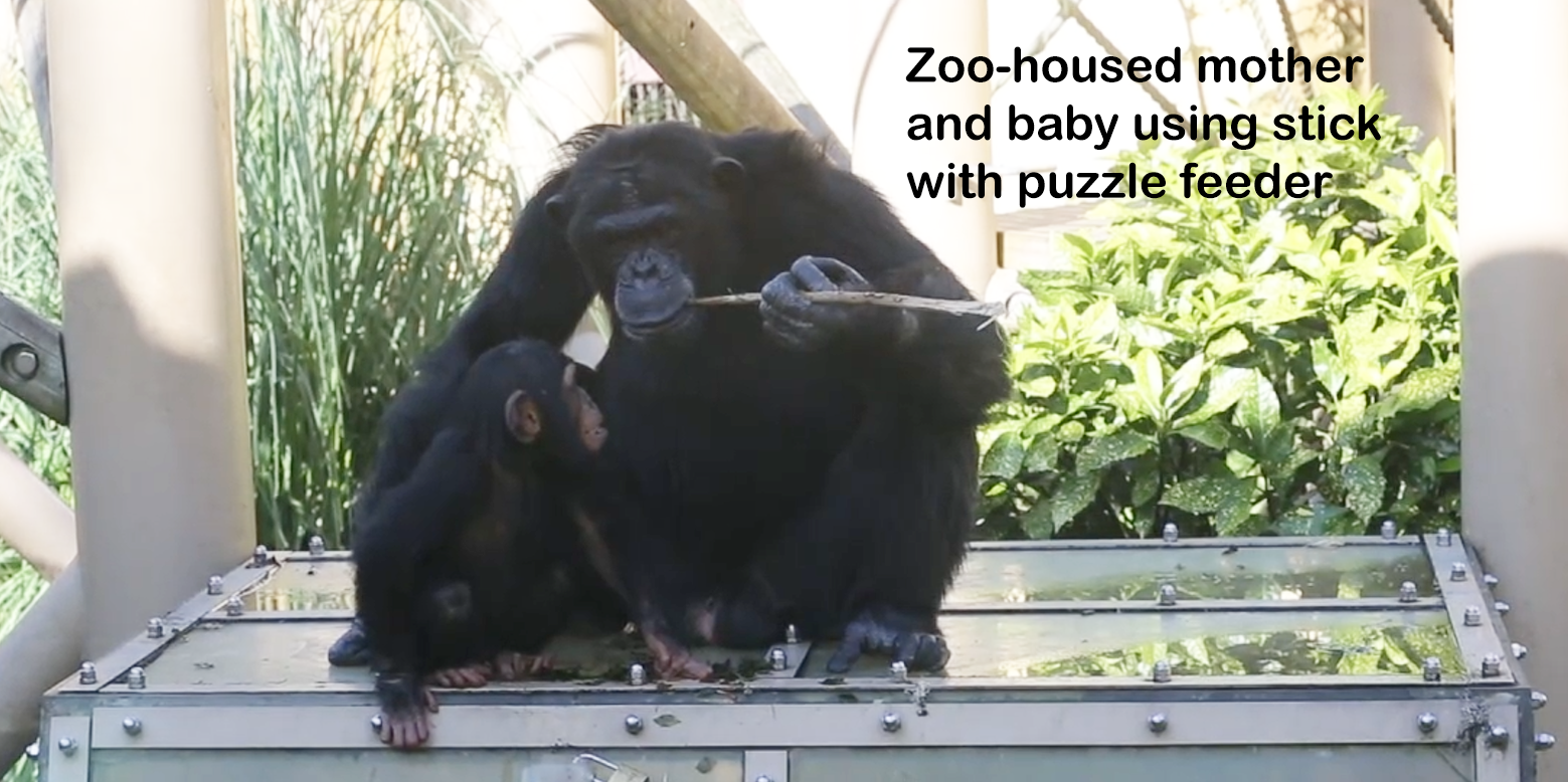 Mother and baby using a stick for feeding.