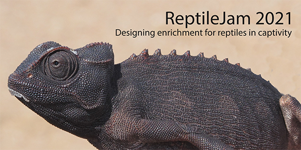 reptile_title